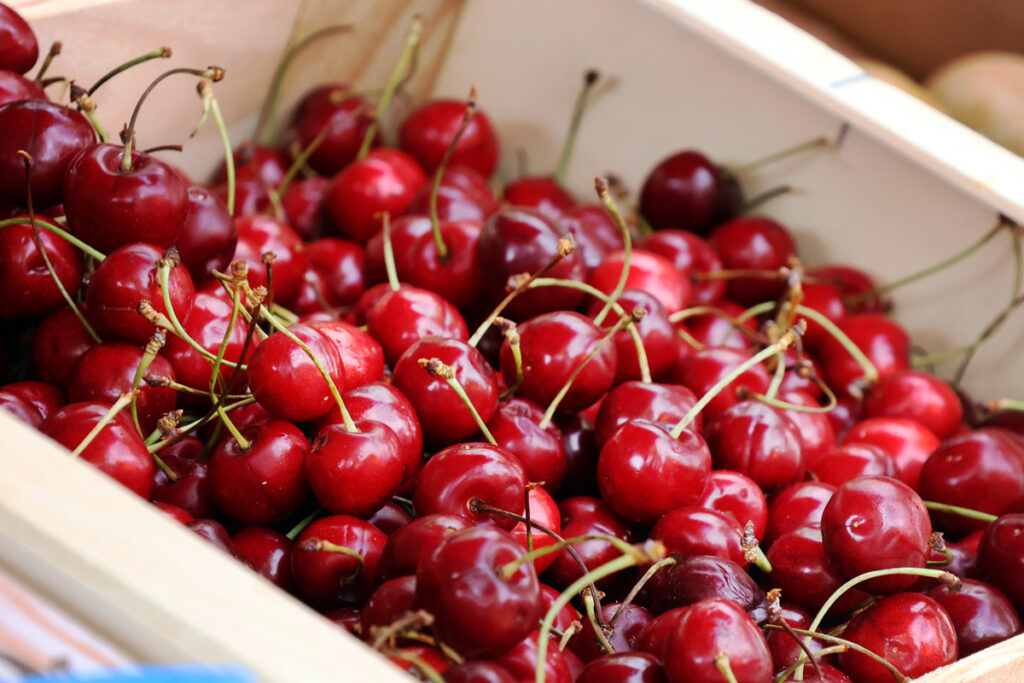 cerises-fruits-primeur-marché-epinal
